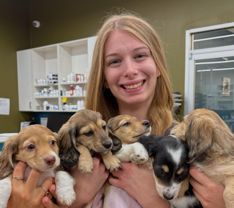 Brooke , Veterinary Assistant Brooke , Veterinary Assistant