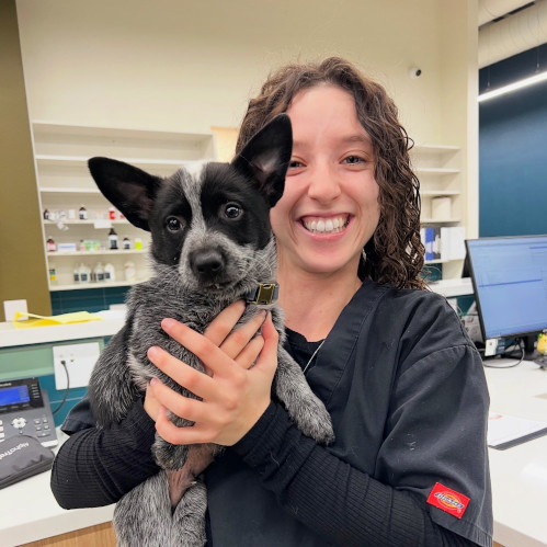 Bianca , Veterinary Technician Bianca , Veterinary Technician