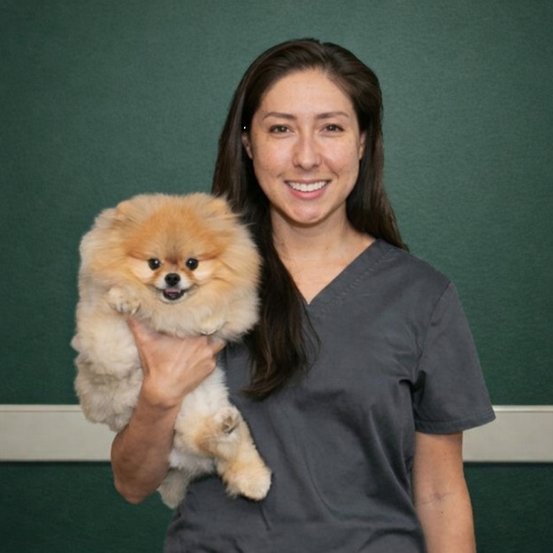 Kristy , Veterinary Technician Kristy , Veterinary Technician